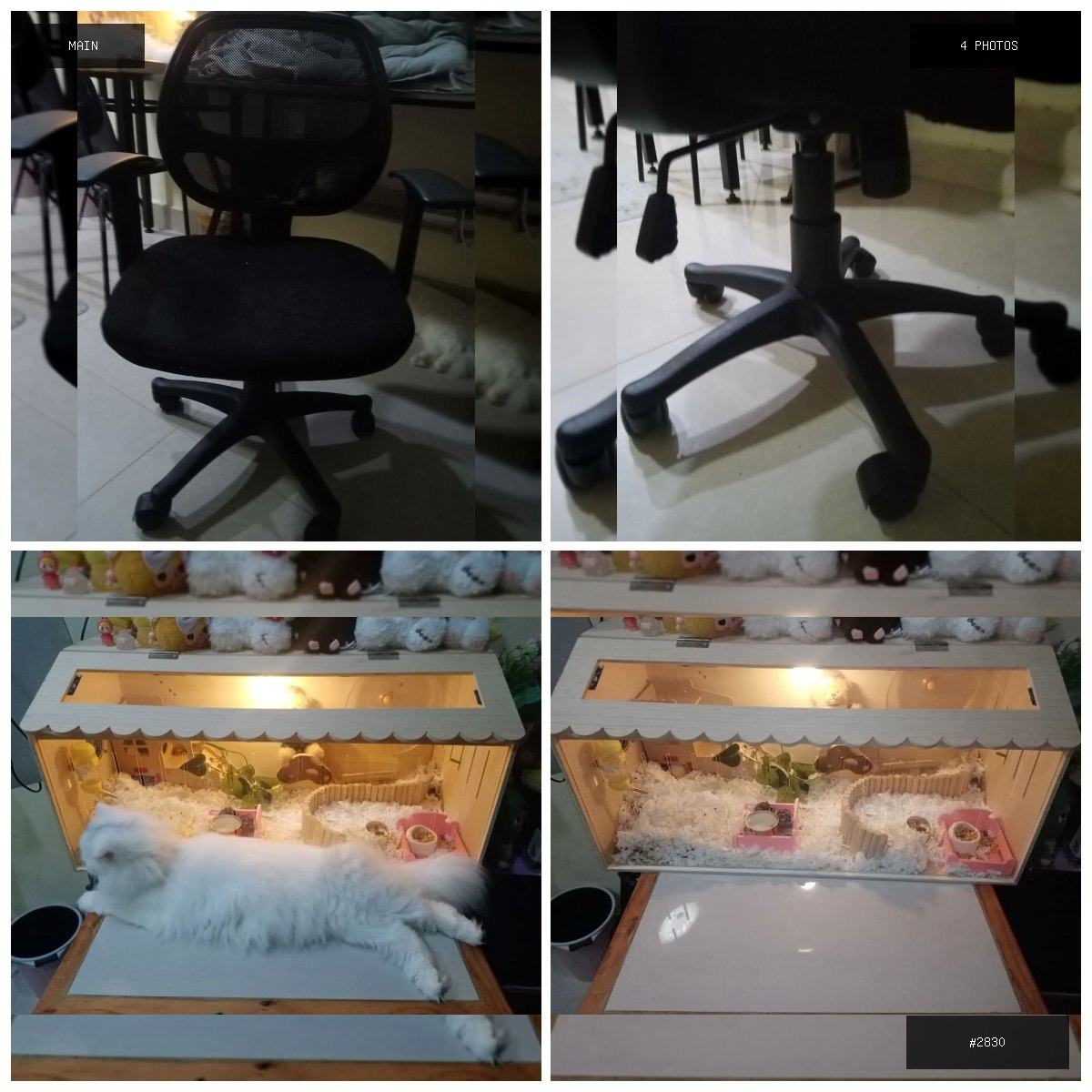 🟢 在售 📦 二手商品预览 🏷 电脑椅仓鼠笼 💵 价格：面议 📍 城市：金边 📂 分类：家具家电…