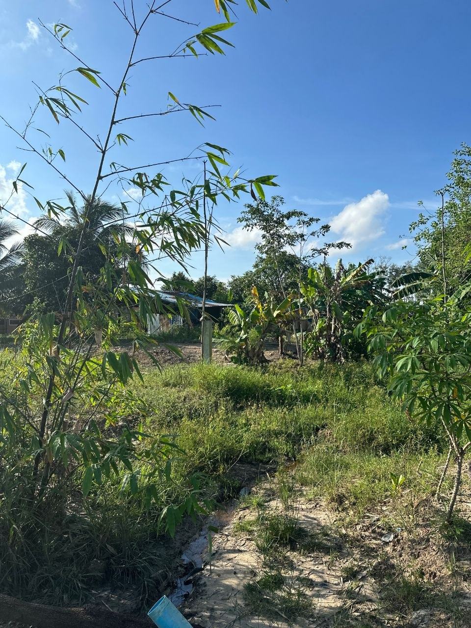 🏷 中国城后山土地出售200平方。 💵 价格:6万 📍 城市:西港 📂 分类:土地出售 🖼 图片…