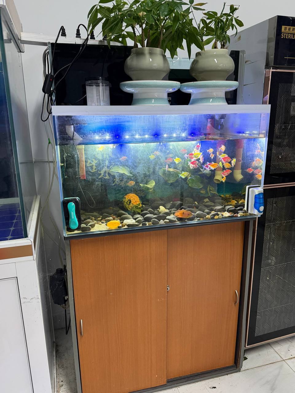 出售:鱼缸 价格:面议 位置:#西港 交易方式:自取 联系方式:@mzss888 物品介绍:鱼缸…
