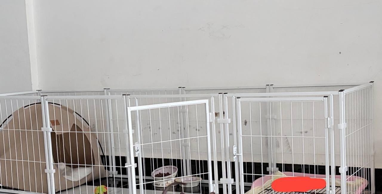 出售物品:狗笼子 价 格:30 U 商品…
